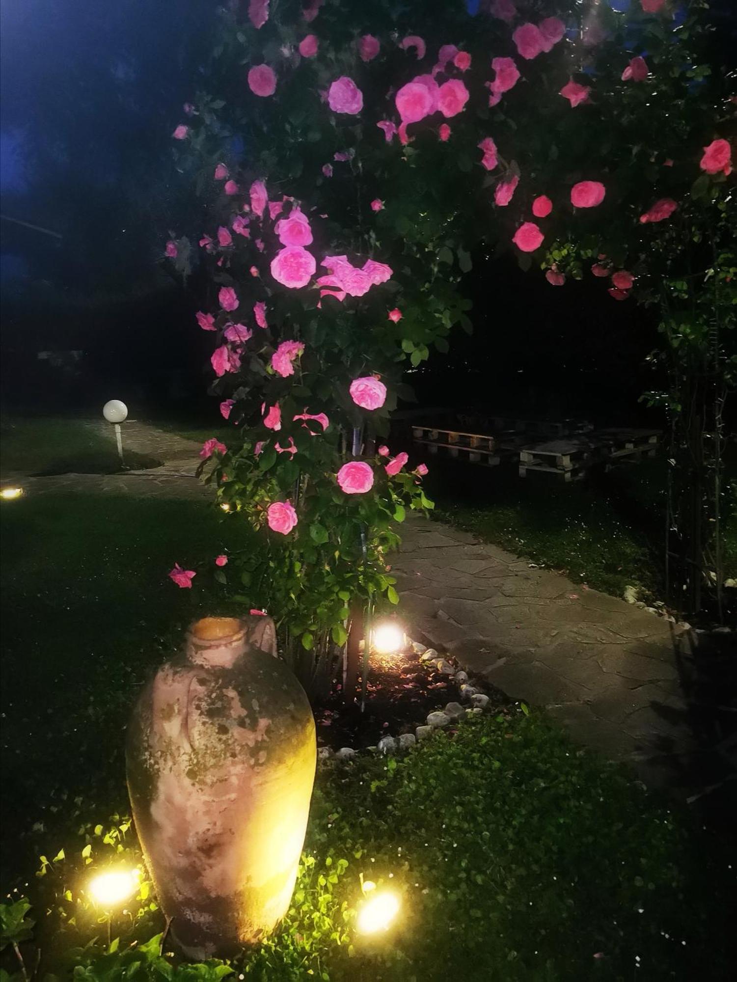 Acquachiara Iseo Deluxe Bed & Breakfast Iseo Center With Garden And Parking Inside Foresteria Habitación foto